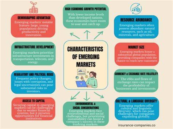 Characteristics of emerging markets