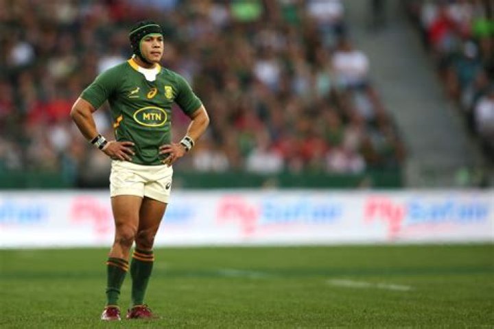 Cheslin Kolbe Height, Weight, Net Worth, Age, Birthday, Wikipedia, Who, Nationality, Biography