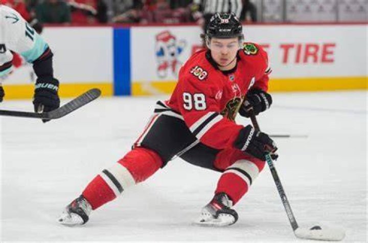 Connor Bedard’s net worth, biography, fact, career, awards and life story