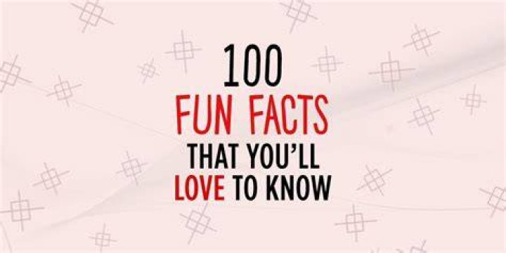 Ellie Schnitt Boyfriend And 10 Facts To Know