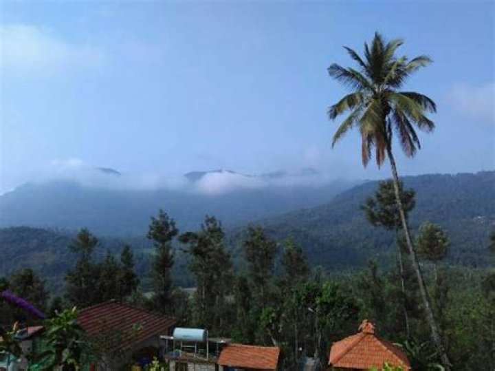Gatikallu Homestay, Mudigere, India