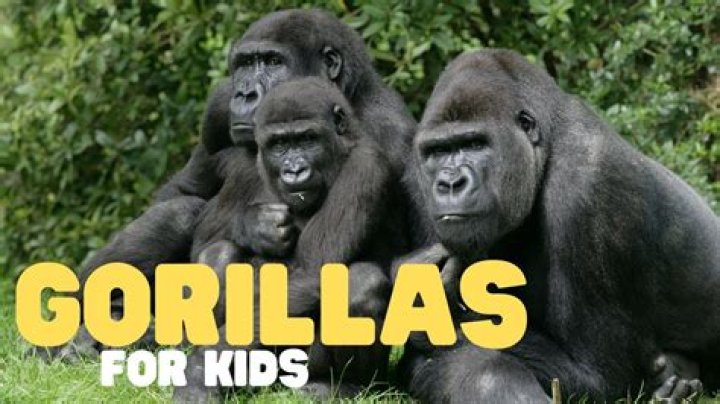 GloRilla Children: Does GloRilla have a child?