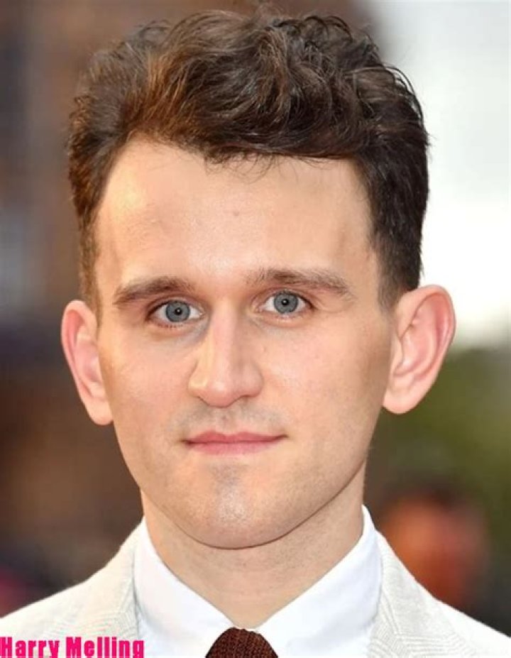 Harry Melling Net Worth, Income, Salary, Earnings, Biography
