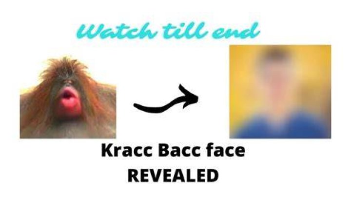 Has Kracc Bacc Done A Face Reveal? Here’s Everything About The Youtuber