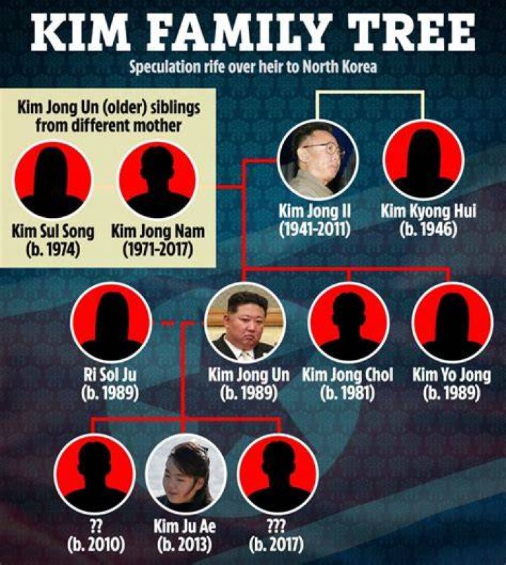 Is Andre Dae Kim Related To Daniel Dae Kim? Family Tree Link Explained!