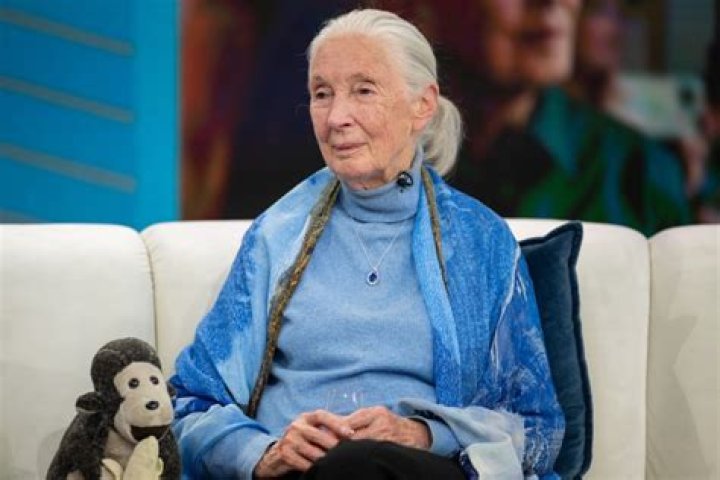 Is Jane Goodall Still Alive? Whereabouts Today – Her Age And Health Update