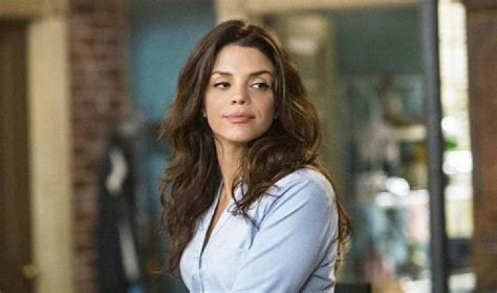 Is Vanessa Ferlito Gay? Her Measurements, Net Worth and Plastic Surgery
