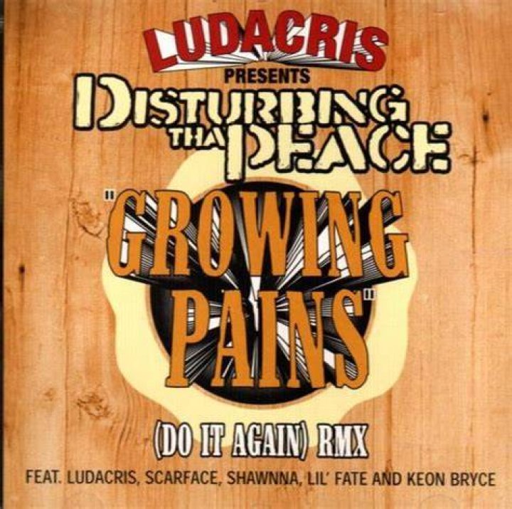 Ludacris’s
Growing Pains Lyrics