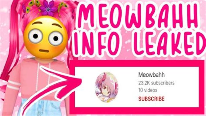 Meowbahh Doxxed Face Reveal And Other Details To Know: How Does She Look Like?