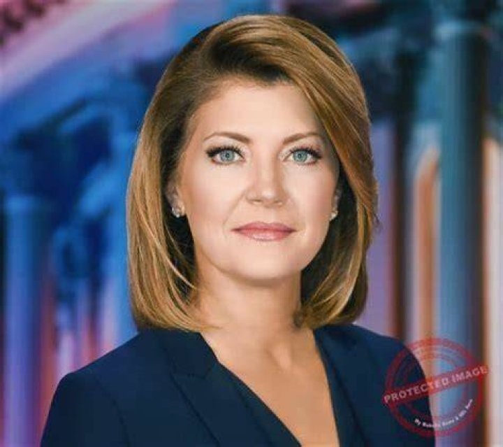 Micah Materre Biography, Wiki, Age, Height, Family, Husband, Salary, Net Worth and WGN