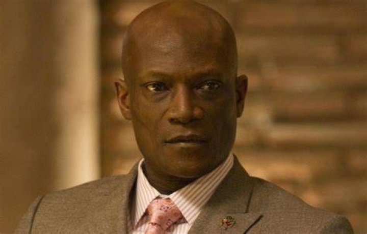 Peter Mensah Bio, Age, Family, Wife, Net Worth Movie and TV shows,…