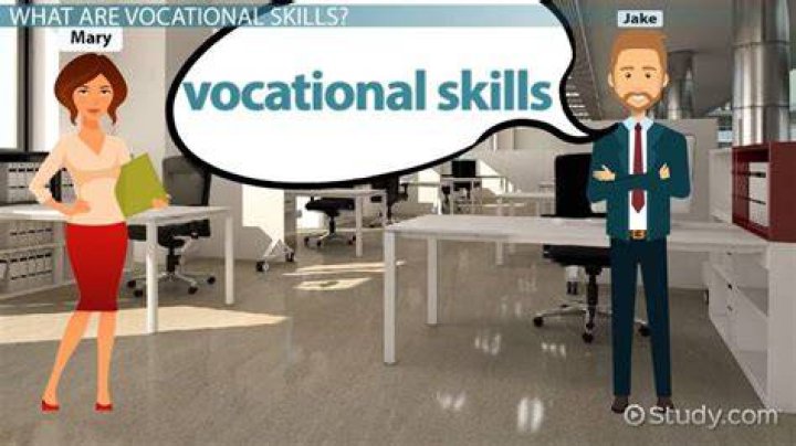 What does vocational plan mean