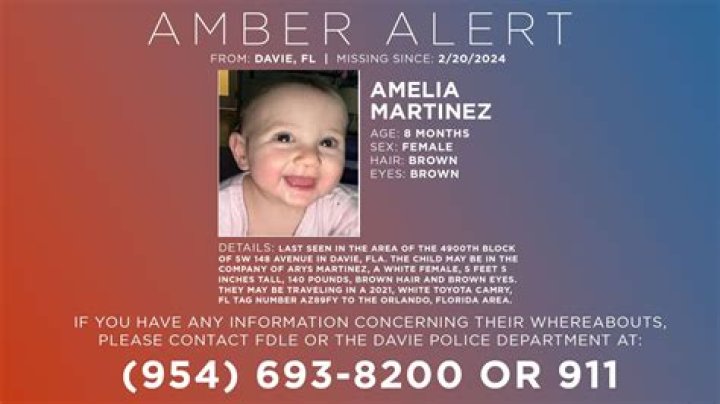 What Happened To Amber Balcaen? Details About Her Accident And Injury