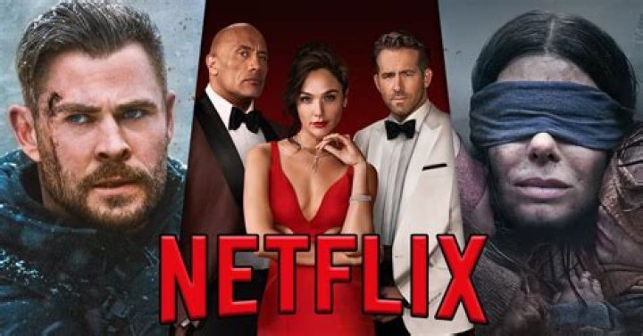 What is Catflix? What We Know So Far