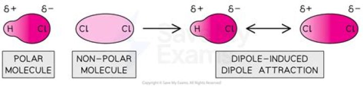 What is the Difference Between Ion Dipole and Dipole Dipole Forces