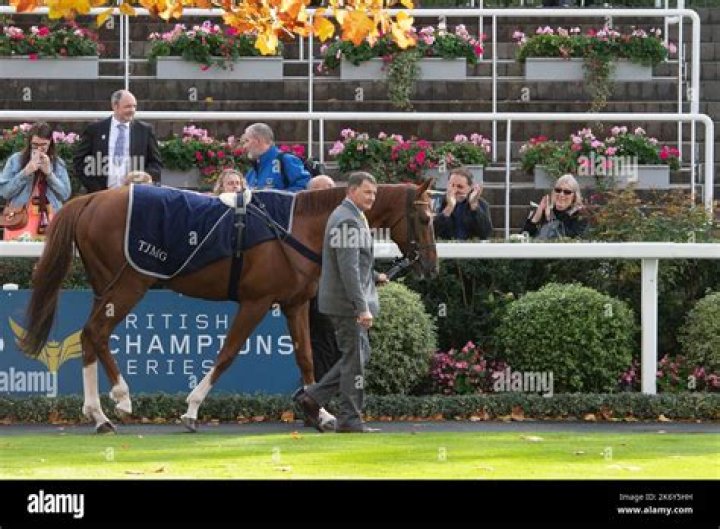 Who Is Bjorn Nielsen? Everything On The Owner Of Stradivarius Horse