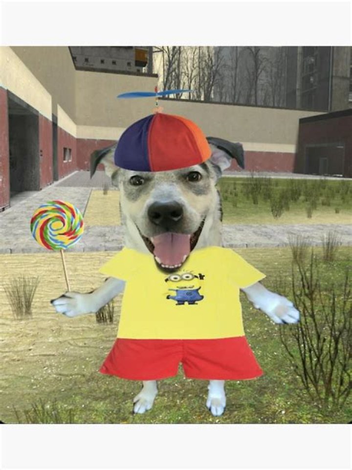Who is Dumbdog? Twitch, Apollo, Twitter, Face, Real Name, Wiki, Biography