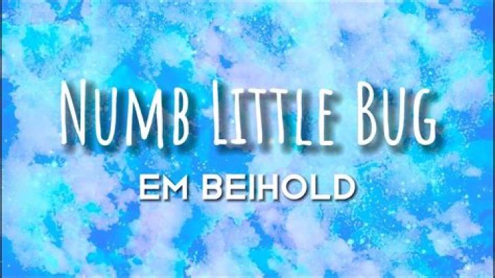 Who Is Em Beihold Boyfriend? Inspiration For “Numb Little Bug” TikTok Famed Lyrics