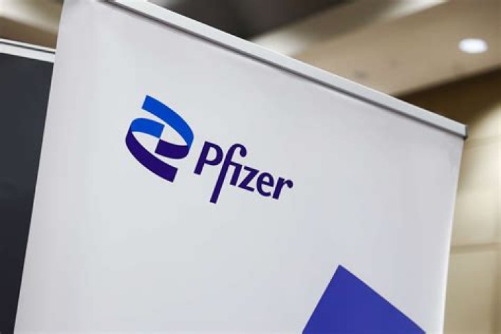 Who Is Pfizer Whistleblower Vanessa Gelman? Everything On Her Age And Wikipedia