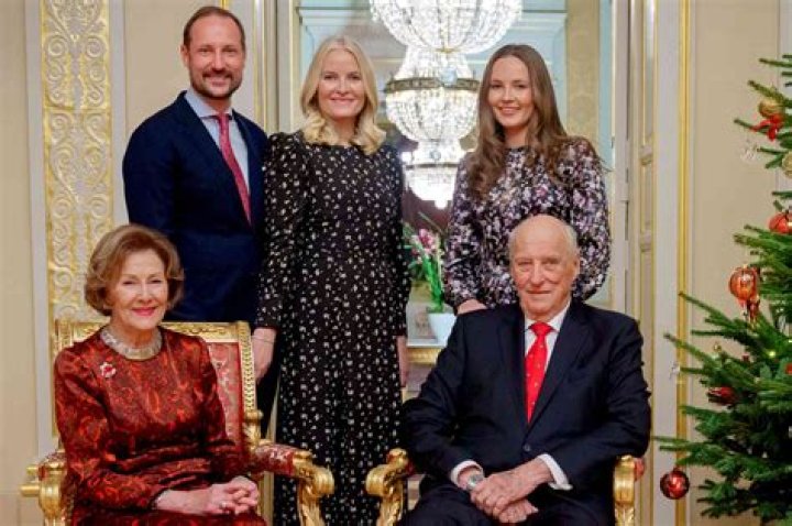 Who Played The King Of Norway In Vikings? What Did Peter Franzen Play In?